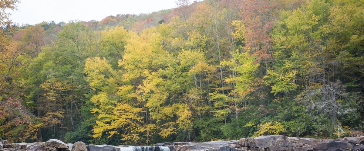 A waterfall cascading over a rocky ledge surrounded by autumn-colored trees.