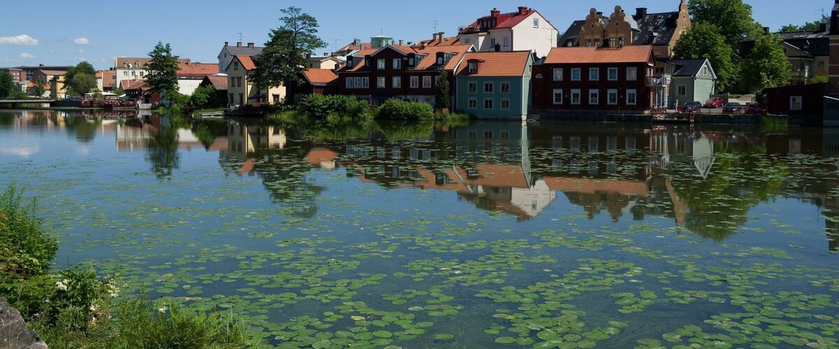 A calm river with lily pads, reflecting colorful buildings and trees.