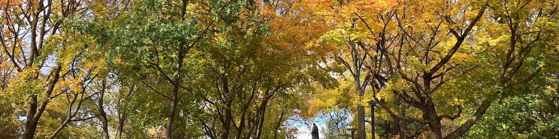 Full colourful season!!!