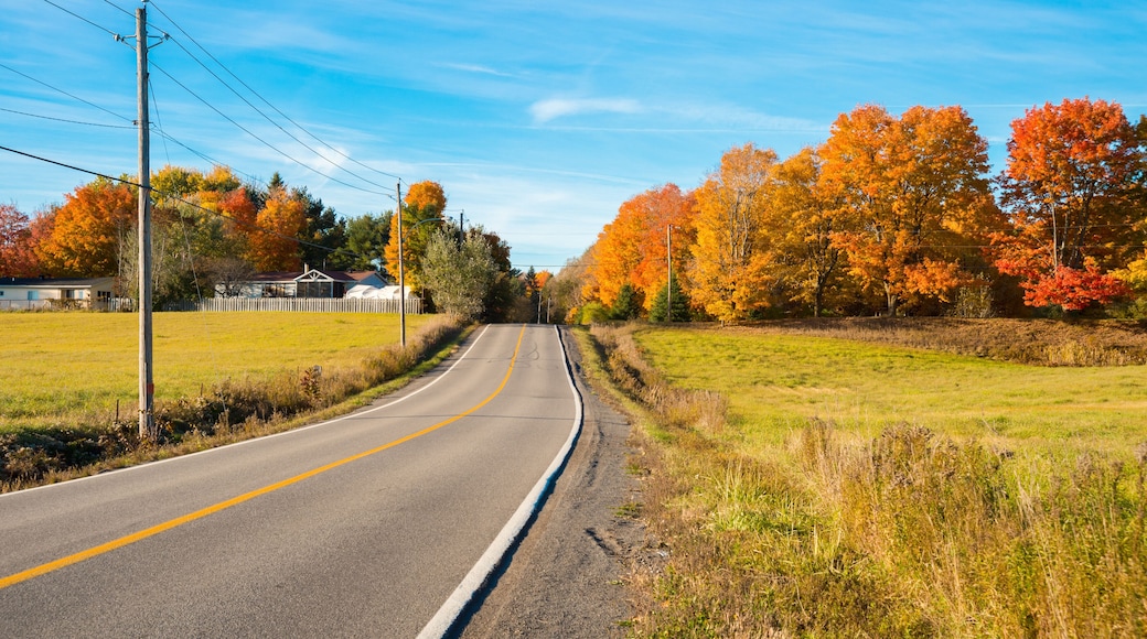 Quebec countryside in Autumn