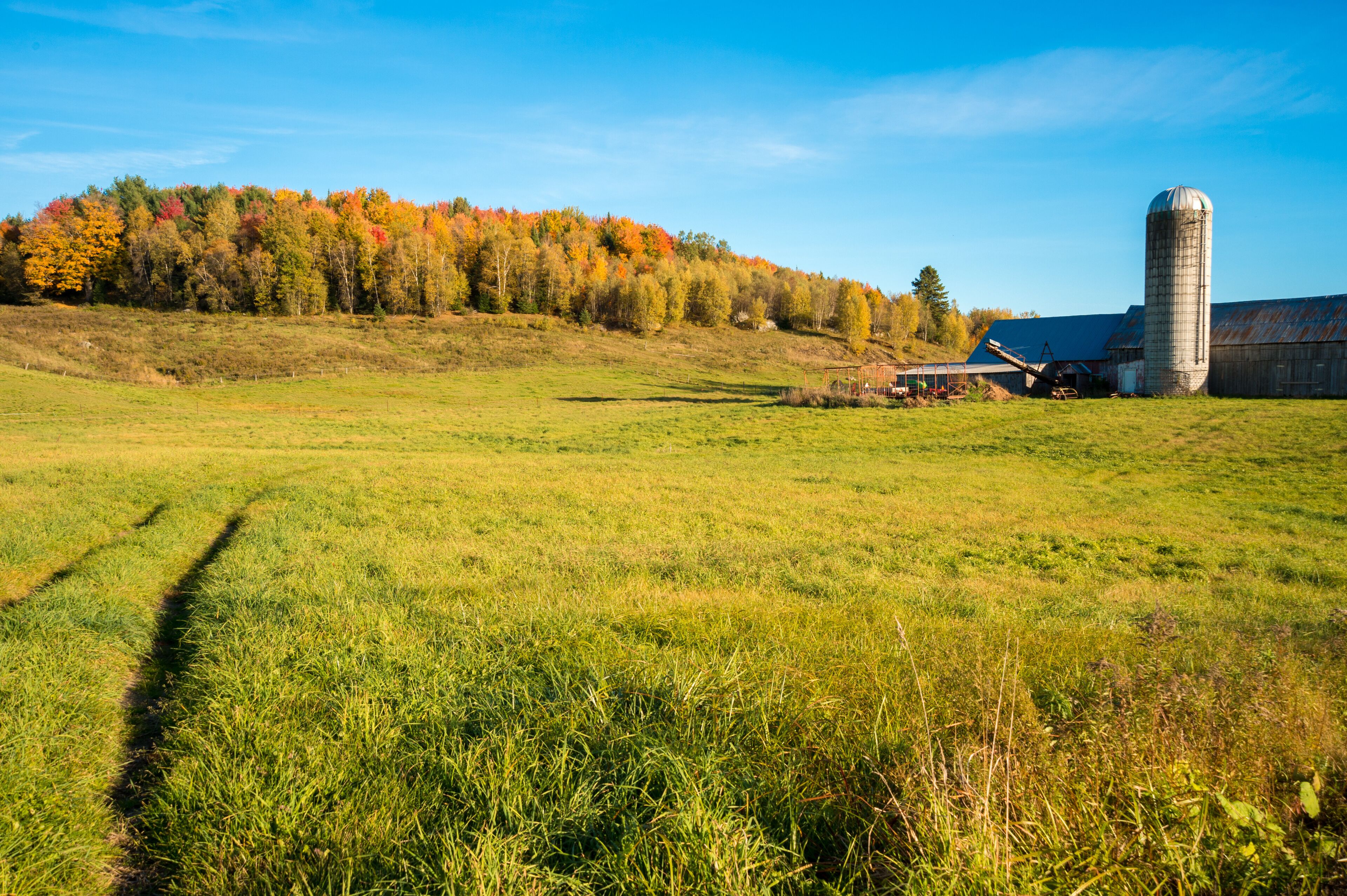 Quebec countryside in Autumn