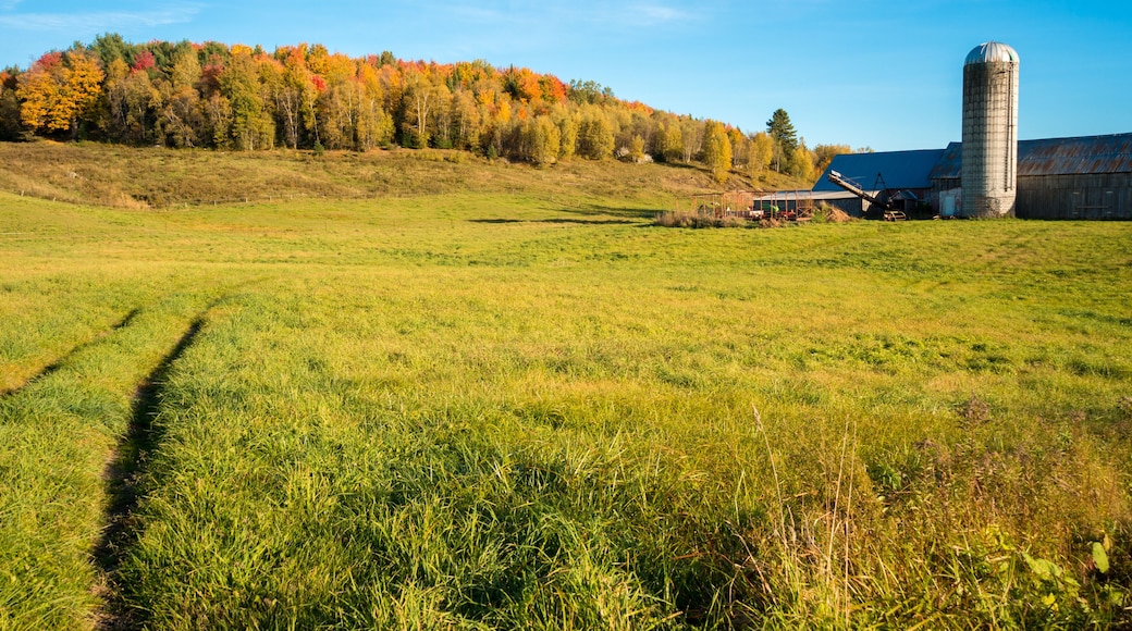 Quebec countryside in Autumn