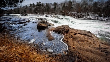 Un río con una cascada, rodeado de árboles y rocas.