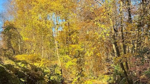 ๋ธ๋กฑํฌ์ค๋น