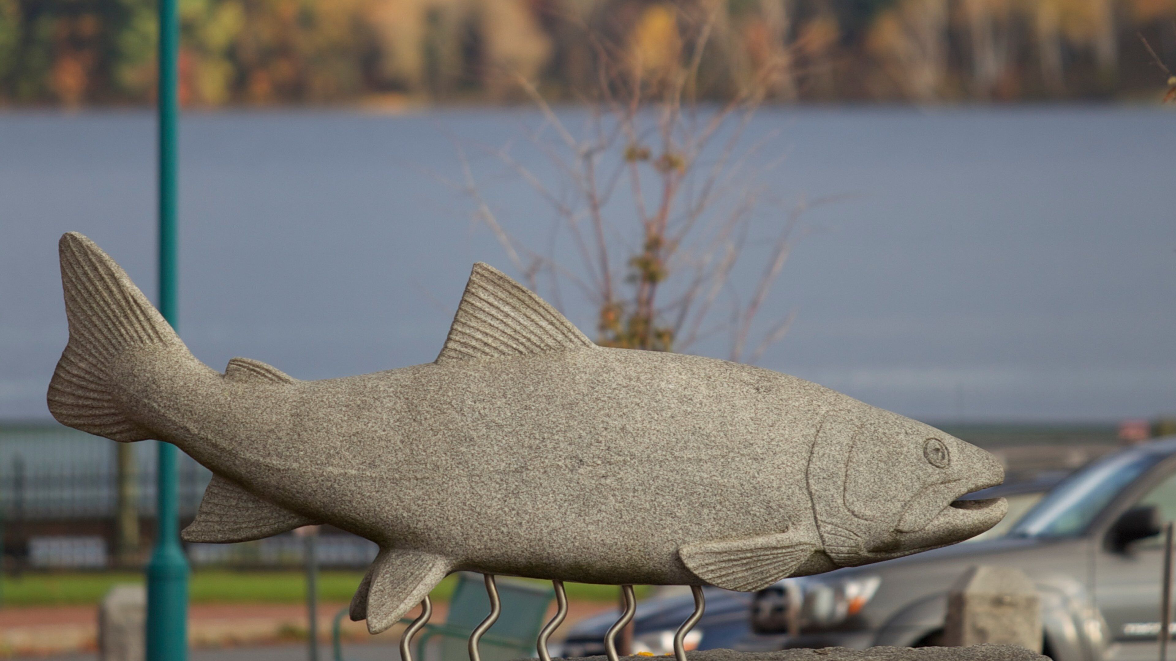 St. Johnsbury which includes outdoor art