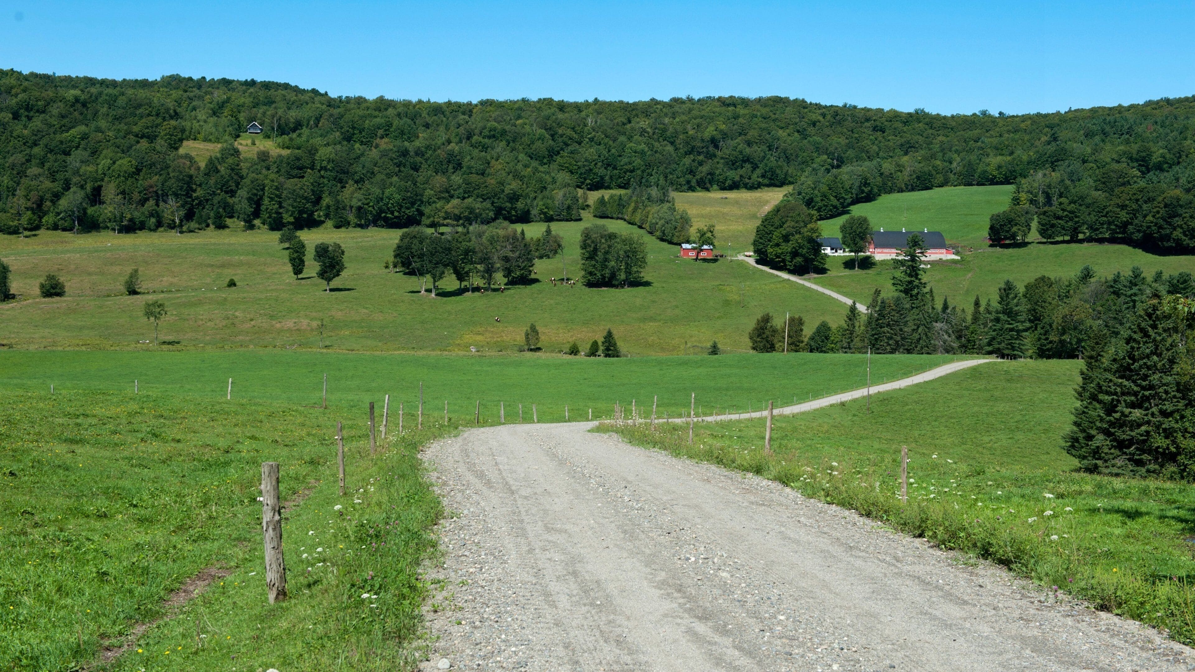 A rural landscape with a gravel road, green fields, scattered trees, and a few buildings in the distance.