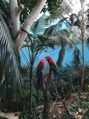 Brookfield zoo
