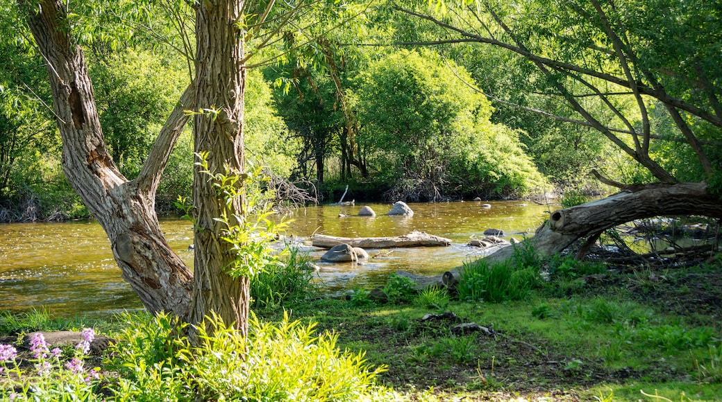 The Bark River flows gently through a lush green forest in Waukesha County, Wisconsin, bathed in May sunlight.