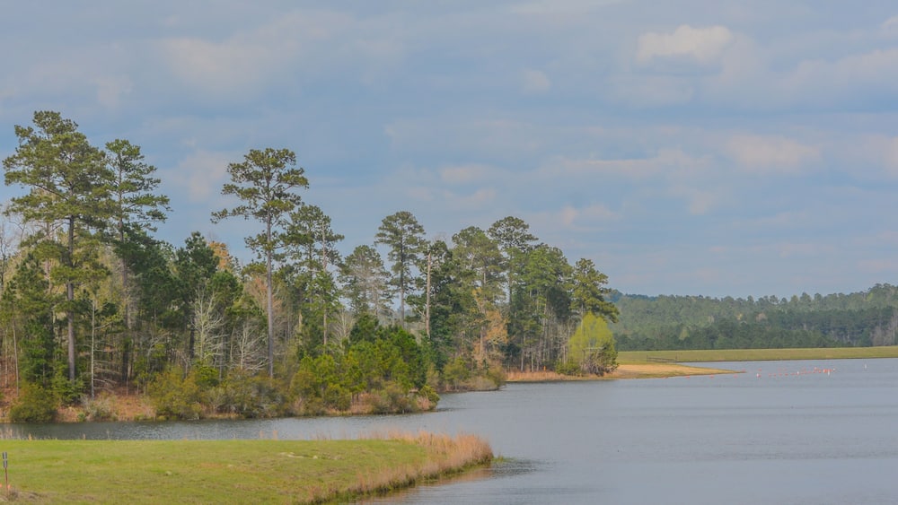 Beautiful view of Okhissa Lake Recreation Area in Homochitto National Forest, Bude, Franklin County, Mississippi