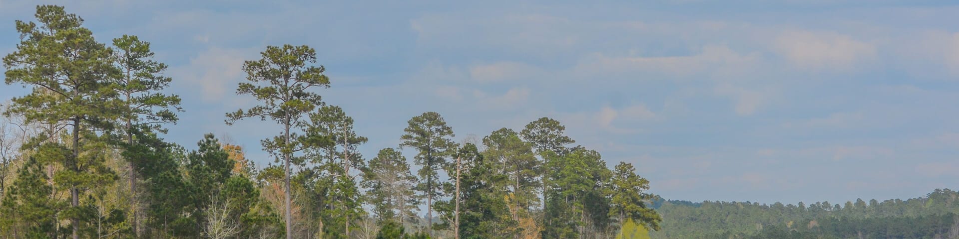 Beautiful view of Okhissa Lake Recreation Area in Homochitto National Forest, Bude, Franklin County, Mississippi
