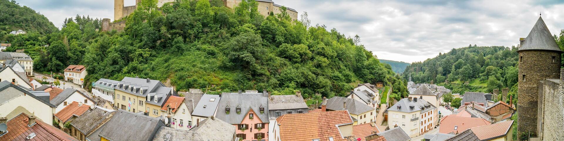 A historic town with a prominent castle on a hill, surrounded by lush greenery and colorful buildings.