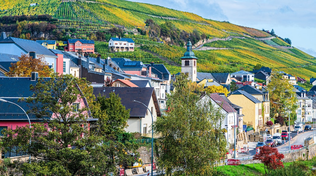 Cantón de Grevenmacher