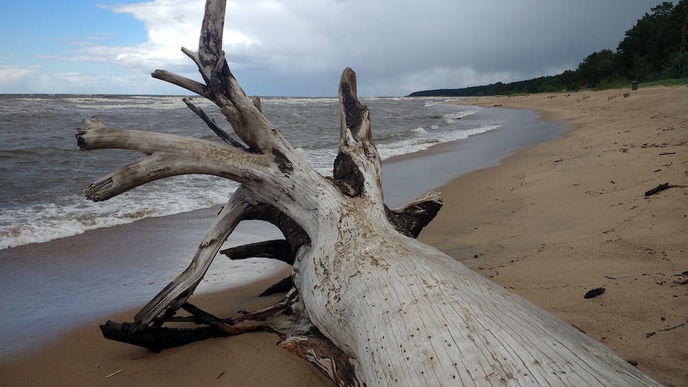 Saulkrasti, Latvia 2018 #thebeach #saulkrasti #latvija #europelife