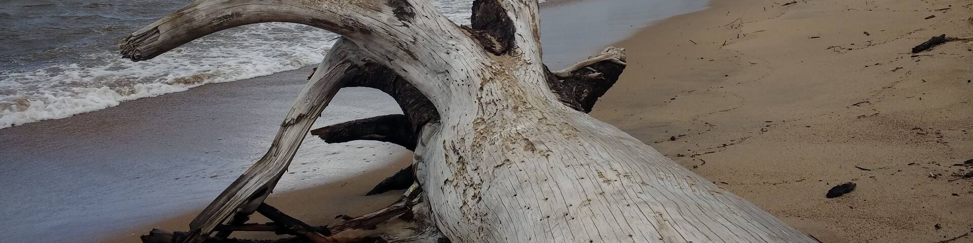 Saulkrasti, Latvia 2018 #thebeach #saulkrasti #latvija #europelife