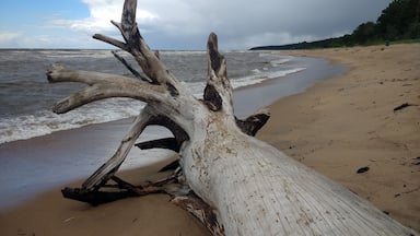 Saulkrasti, Latvia 2018 #thebeach #saulkrasti #latvija #europelife