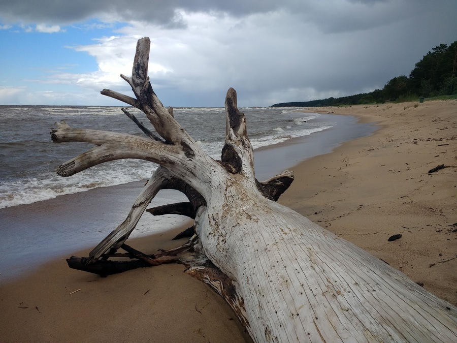 Saulkrasti, Latvia 2018 #thebeach #saulkrasti #latvija #europelife