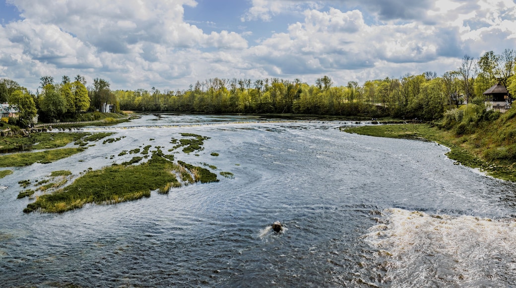 Une rivière bordée de zones de végétation verdoyante, un chien qui nage et des maisons le long de la rive.