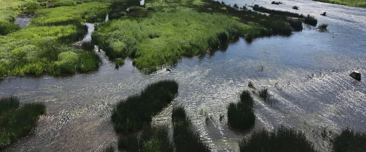 A river with green vegetation and a bridge in the background.