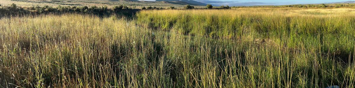 Grasslands near Kemmerer Wyoming