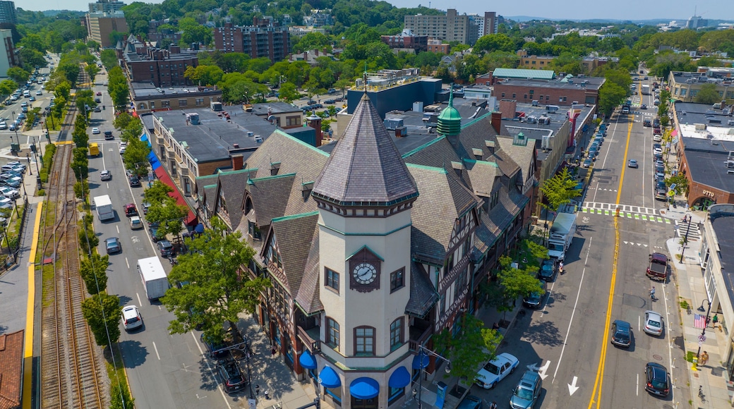 บรุกไลน์