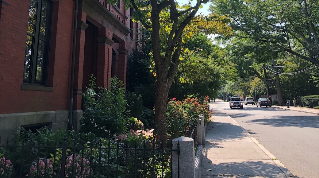Don’t tell the locals, but this is my secret FREE PARKING place for Fenway Park for their 7 pm games or Sunday all day. It’s 2 hour parking until 8 pm so technically you shouldn’t arrive earlier than 6:00
PM, but I arrived at 5:30 ish and nary a ticket officer to see. Saved $40-$50 on parking in an overcrowded lot and traded hassling with ticket vouchers and crowds for an enjoyable and easy and most important safe walk. You just have to be out by 2:00 am.