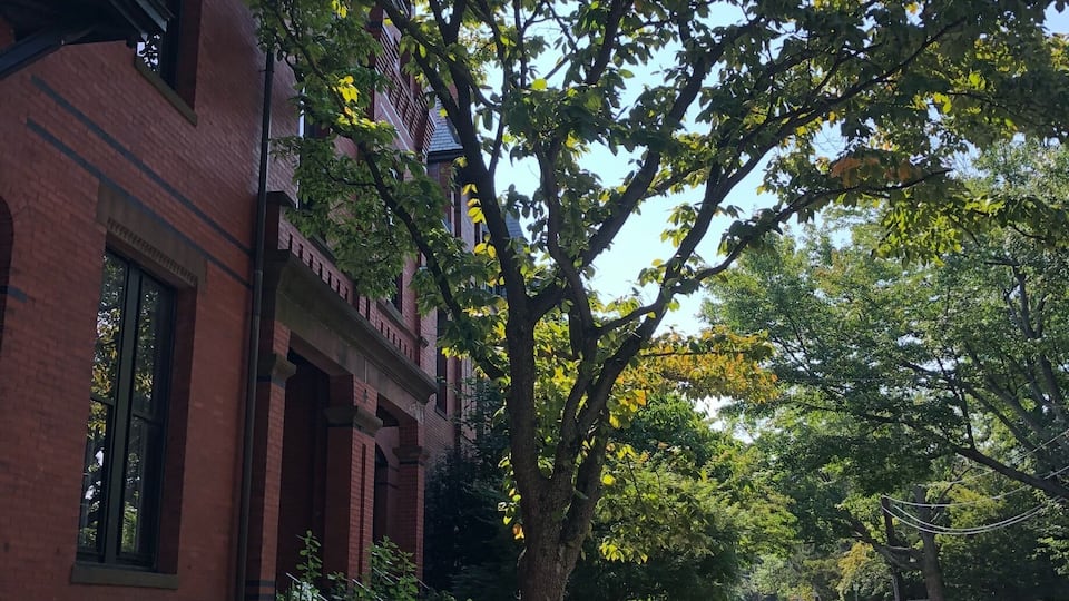Don’t tell the locals, but this is my secret FREE PARKING place for Fenway Park for their 7 pm games or Sunday all day. It’s 2 hour parking until 8 pm so technically you shouldn’t arrive earlier than 6:00
PM, but I arrived at 5:30 ish and nary a ticket officer to see. Saved $40-$50 on parking in an overcrowded lot and traded hassling with ticket vouchers and crowds for an enjoyable and easy and most important safe walk. You just have to be out by 2:00 am.