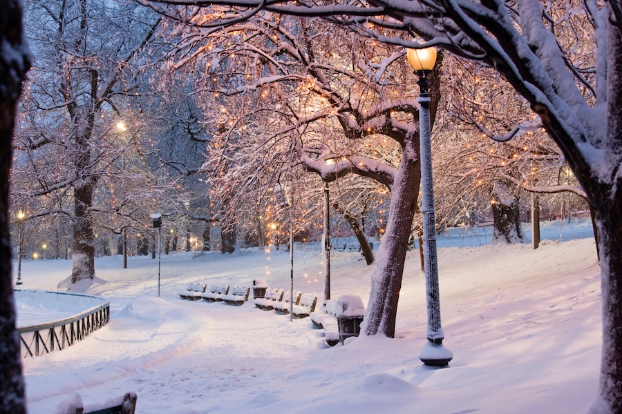 Snow covered trees with lampposts lit up in a public park, Boston Common, Boston, Massachusetts, USA