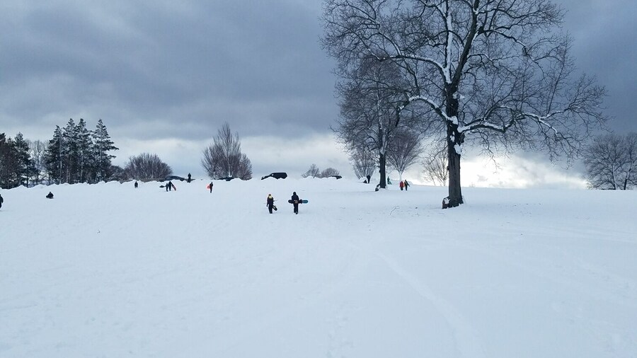 Nice sledding and snowboarding hill