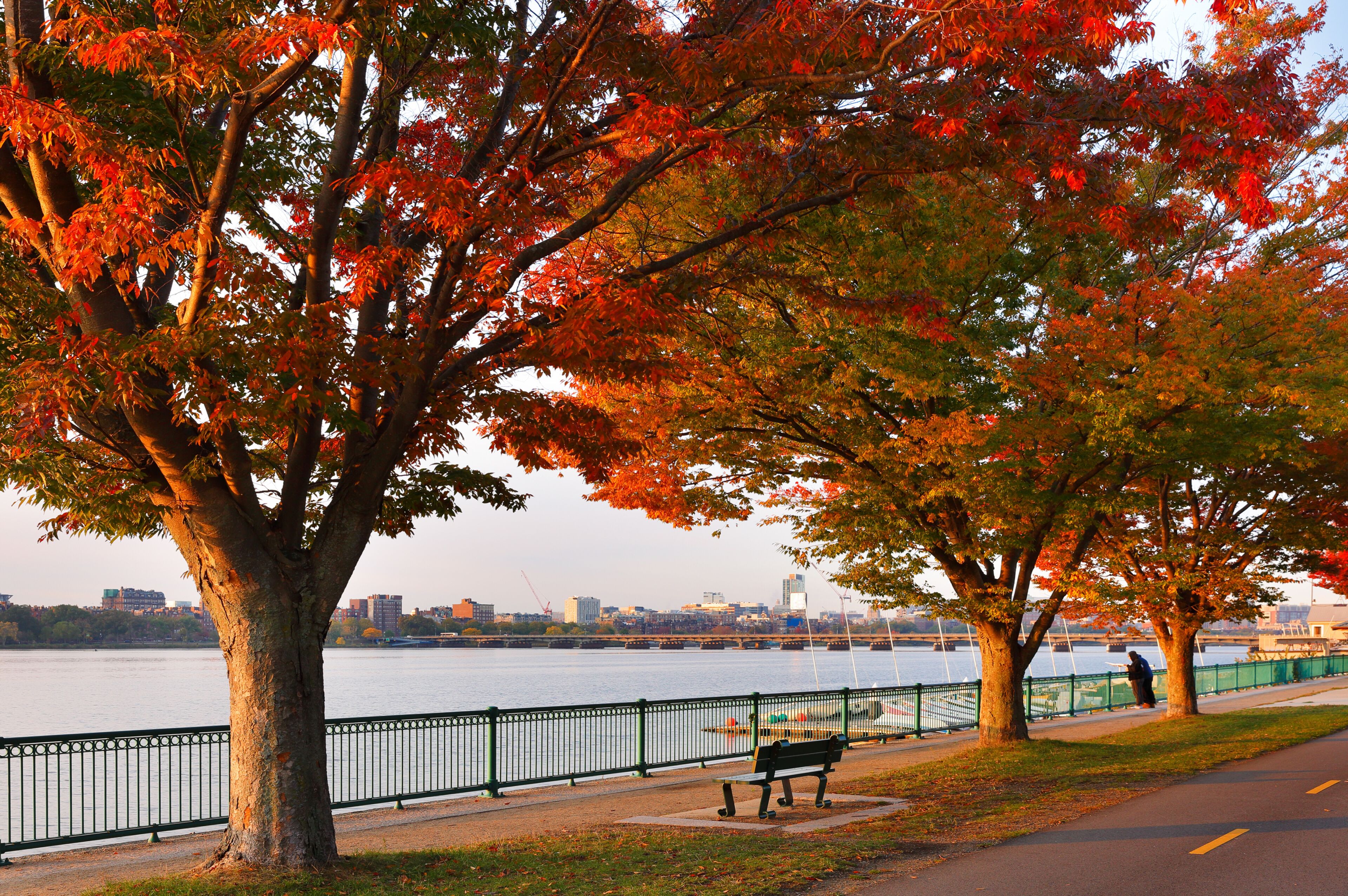 Boston Skyline in autumn showing  the Charles River at sunrise, Boston Massachusetts. 