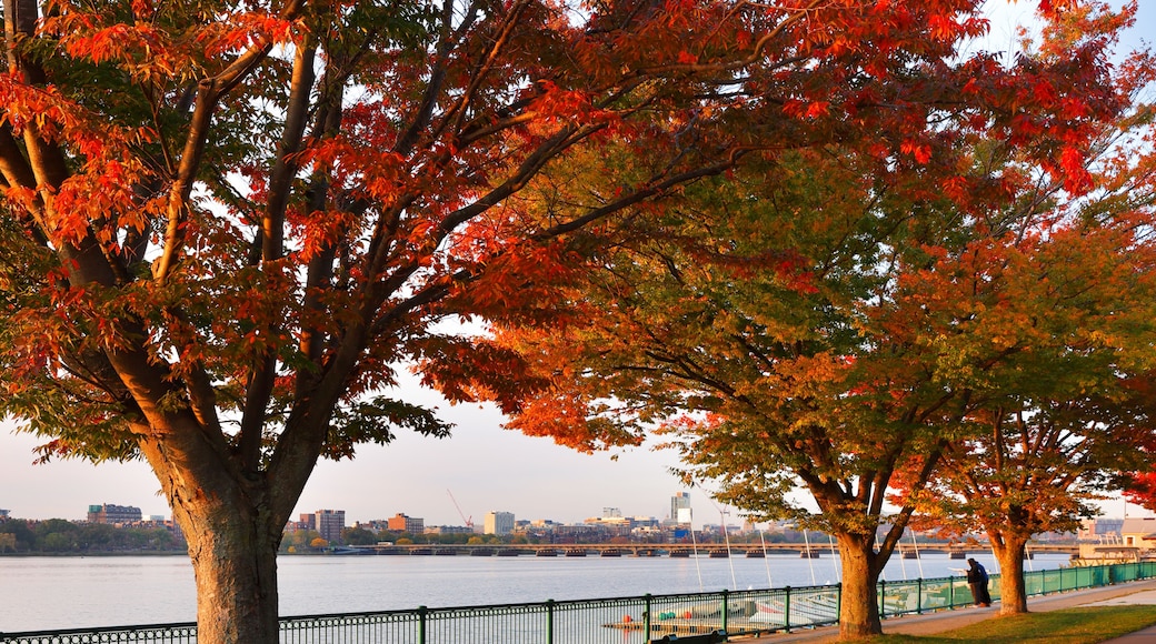 Boston Skyline in autumn showing the Charles River at sunrise, Boston Massachusetts.