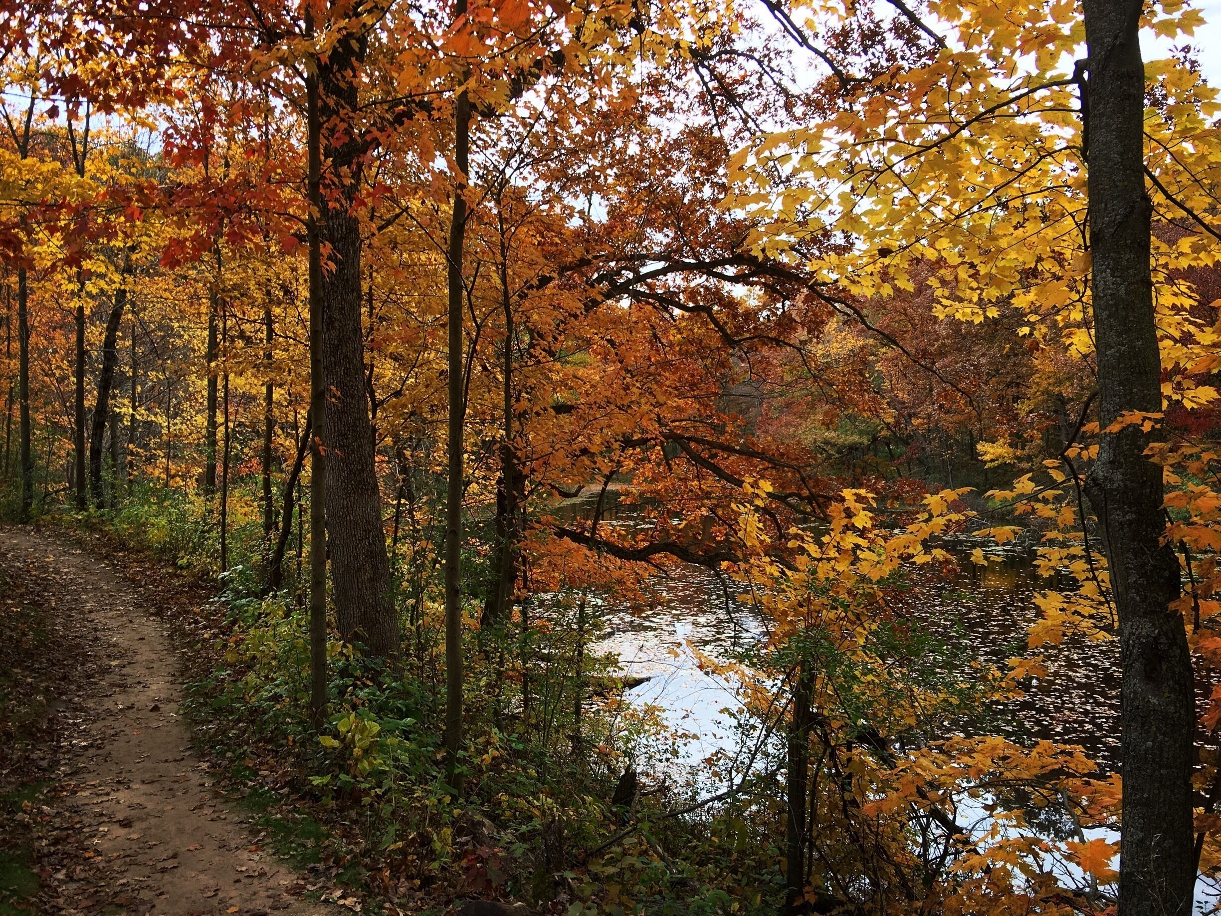Great place for a walk. 