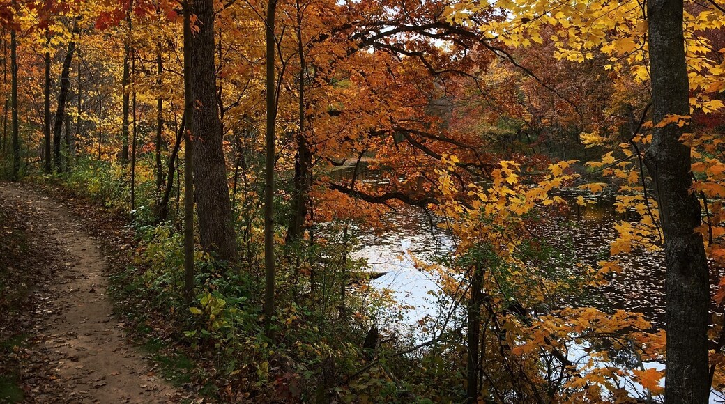 Great place for a walk.