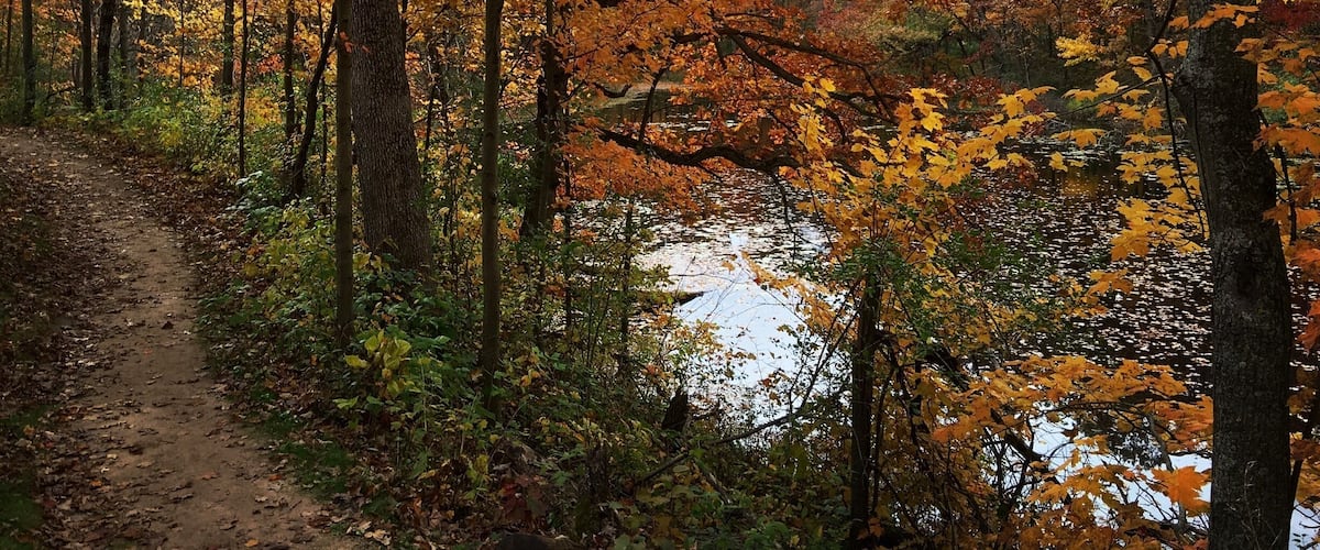 Great place for a walk.