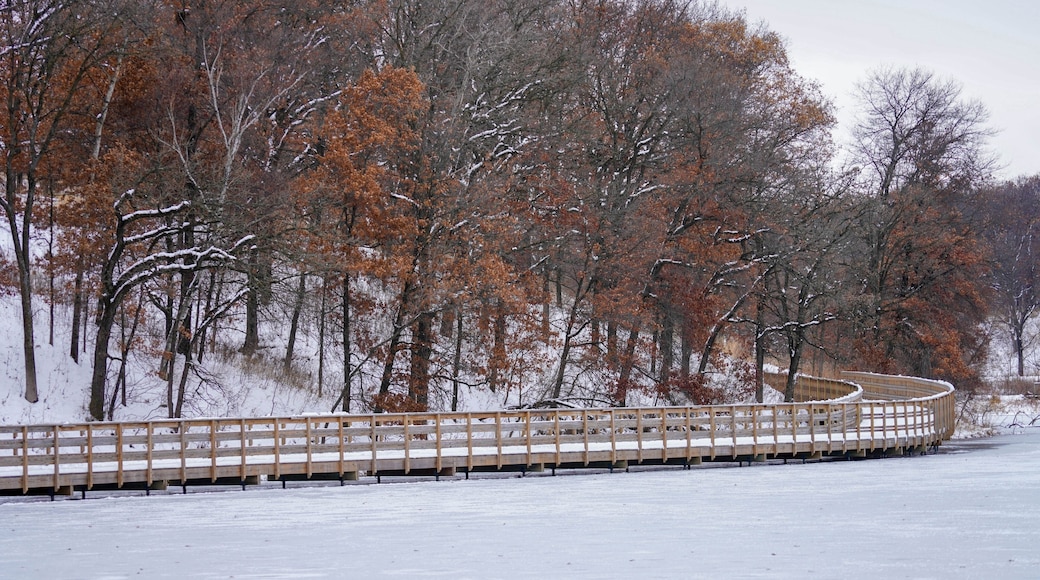 Curved wood trail at a park in winter
