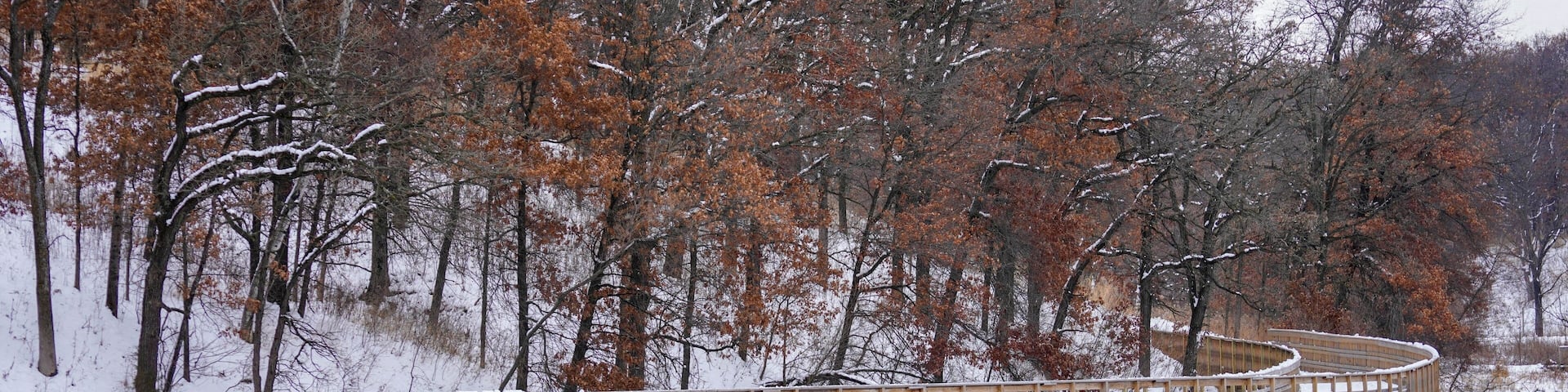 Curved wood trail at a park in winter