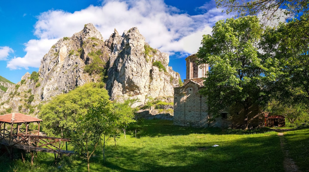 Makedonski Brod kommune