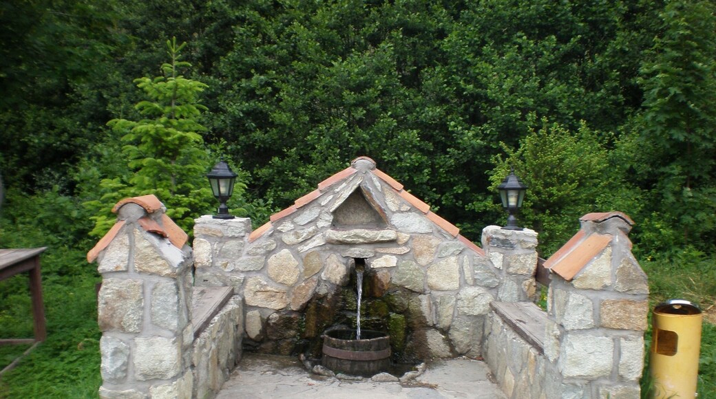 This natural spring well is in the beautiful village, Brajcino in Macedonia.