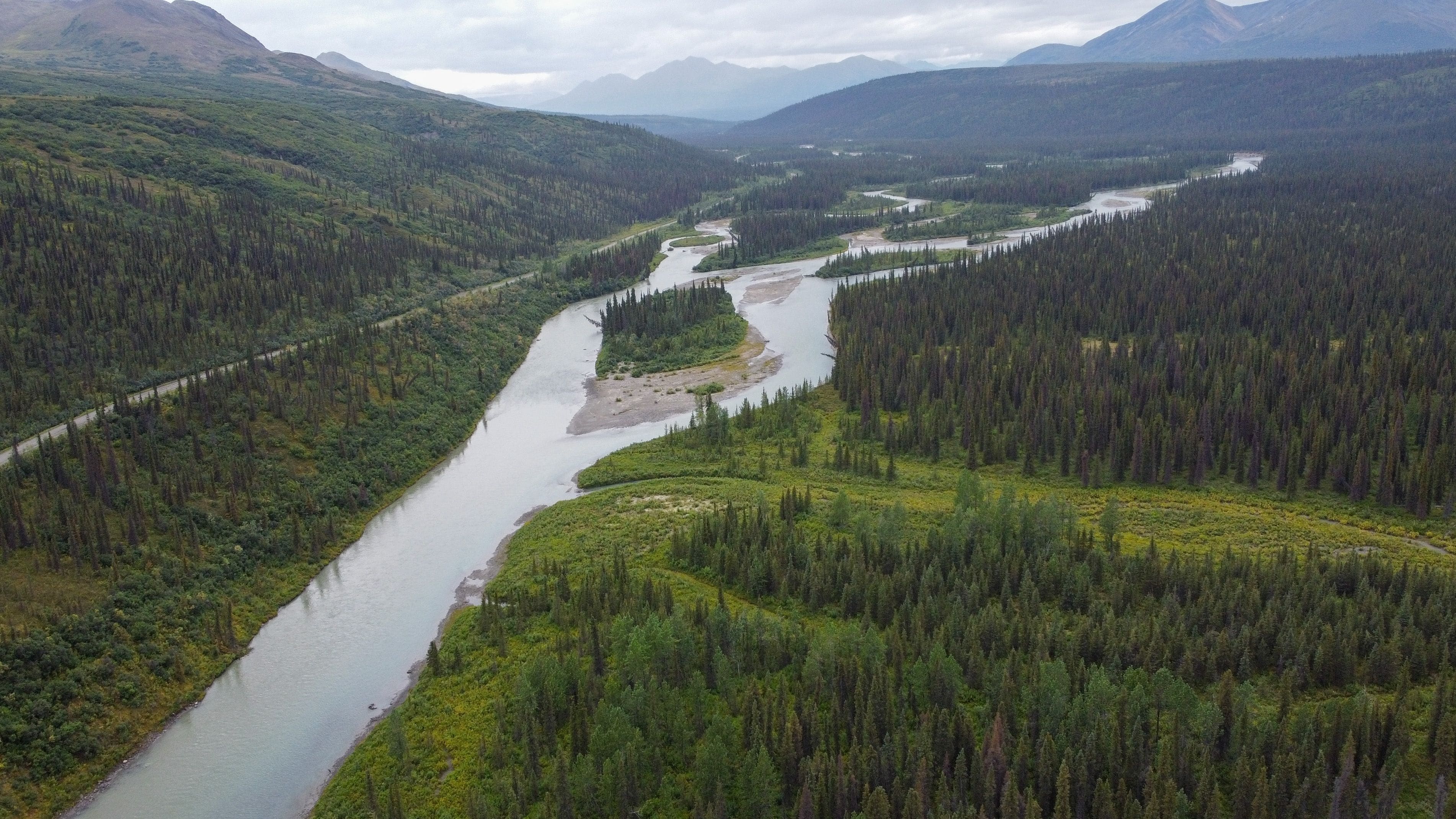 Nenana