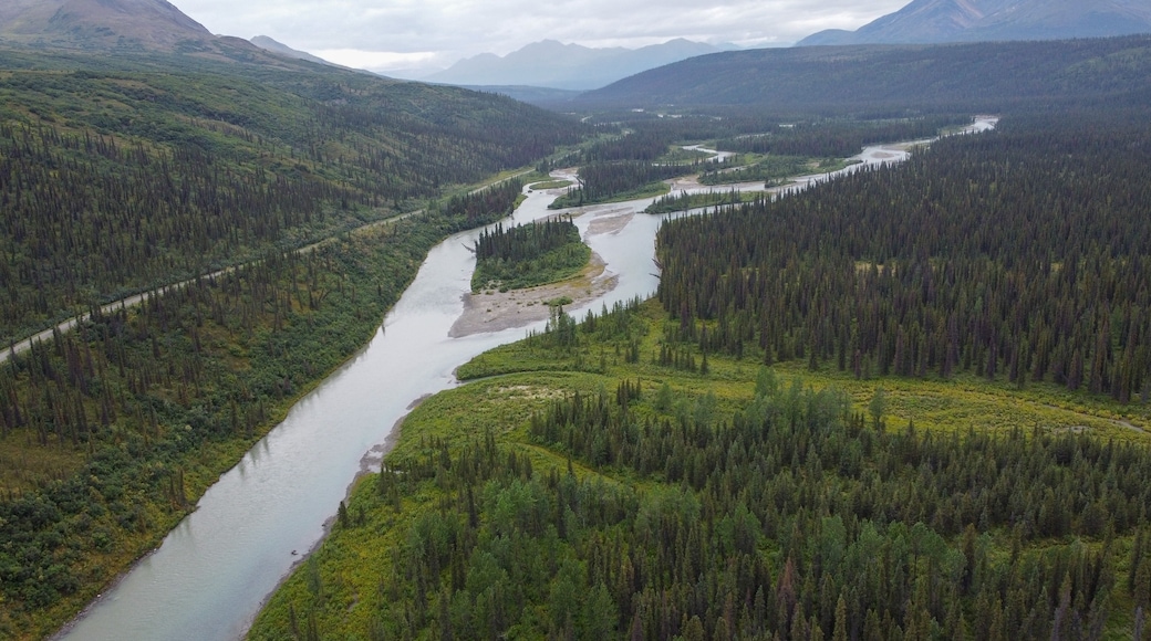 Nenana