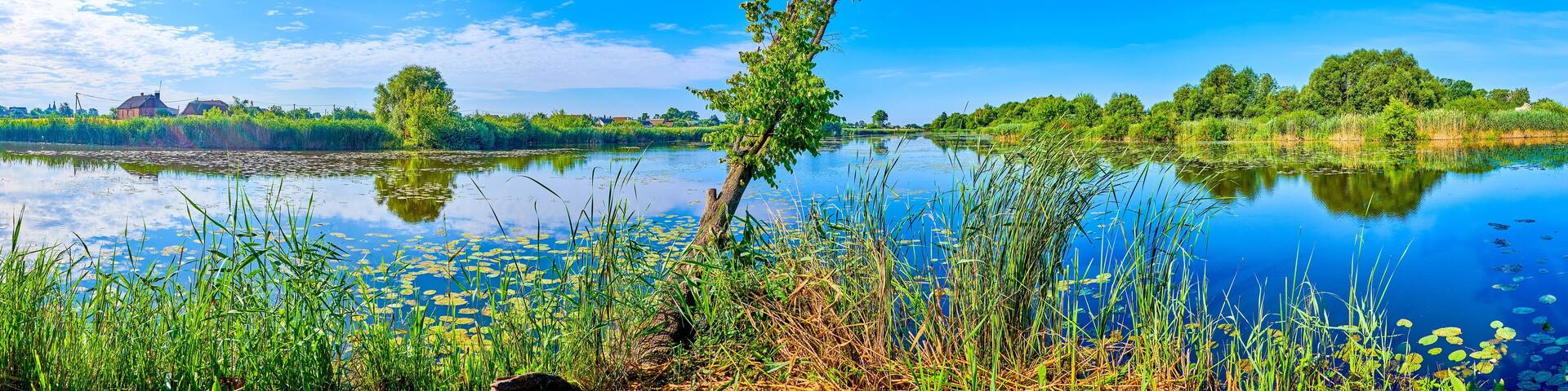 A calm lake with lily pads, surrounded by lush greenery and a clear blue sky.