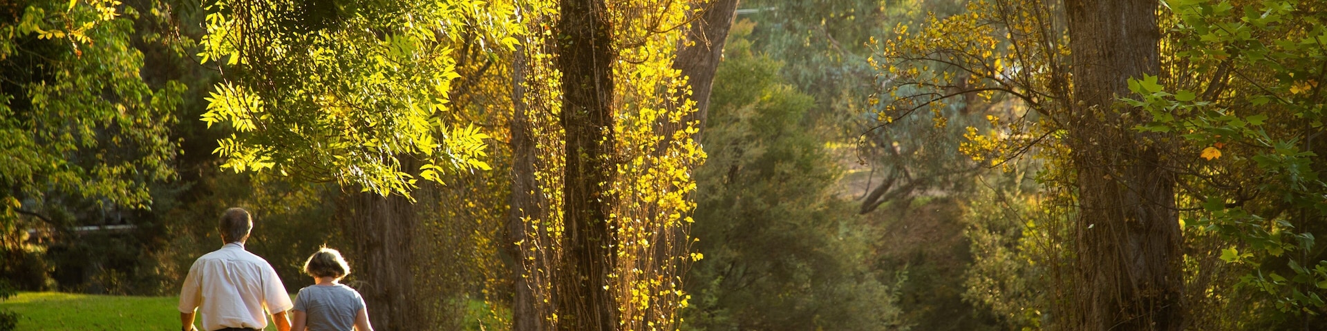 Canyon Walk which includes a sunset and a park as well as a couple