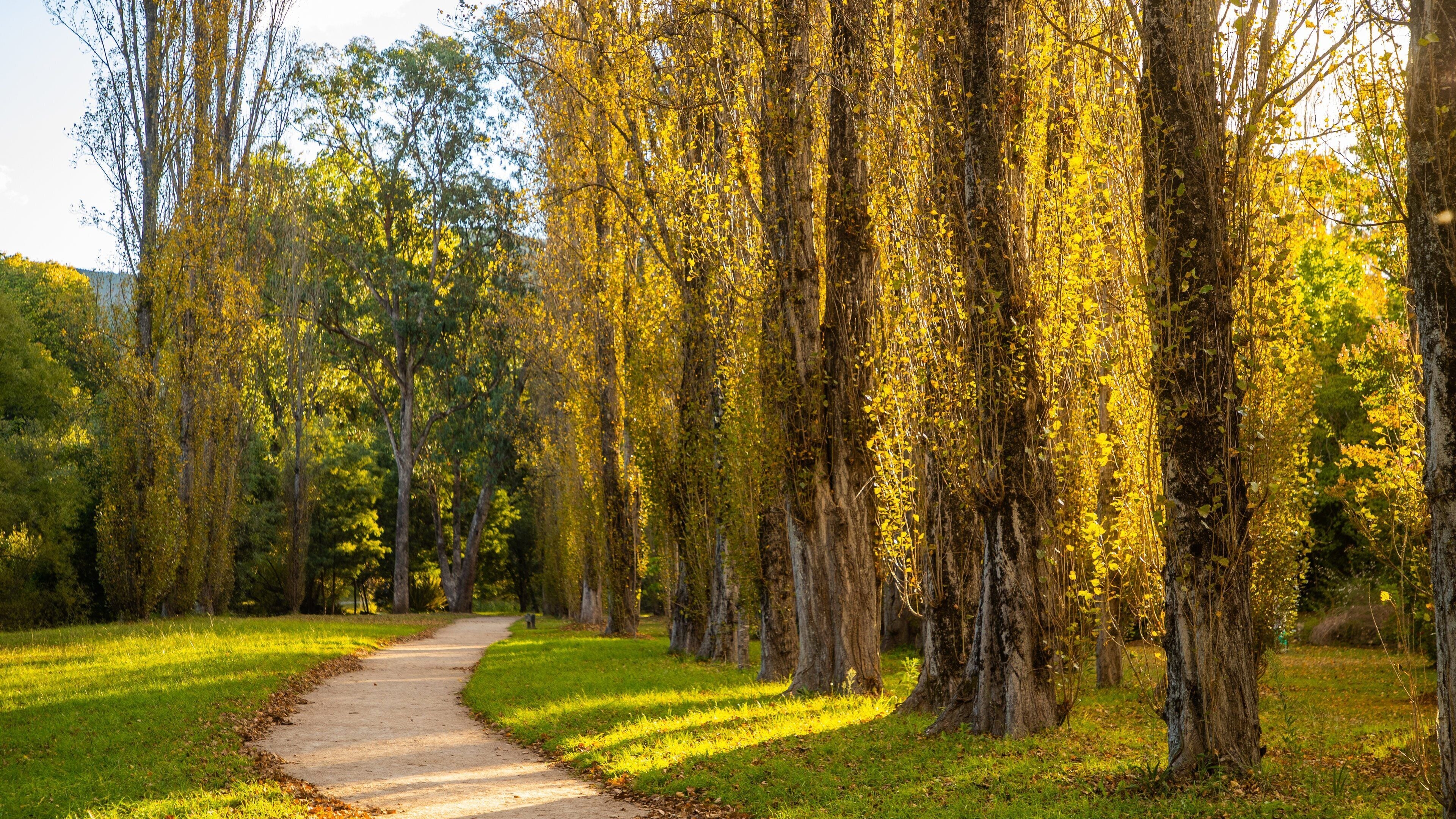 Canyon Walk showing a garden