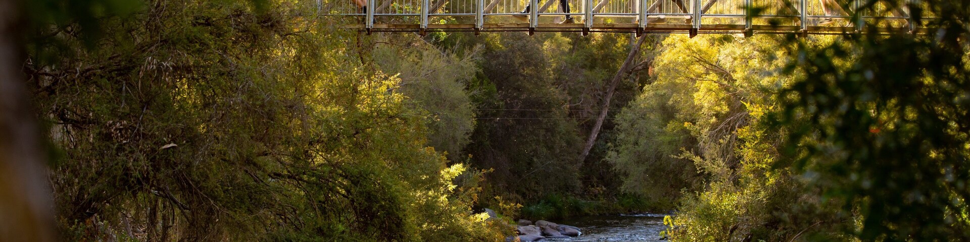 Canyon Walk showing a river or creek and a bridge as well as a small group of people
