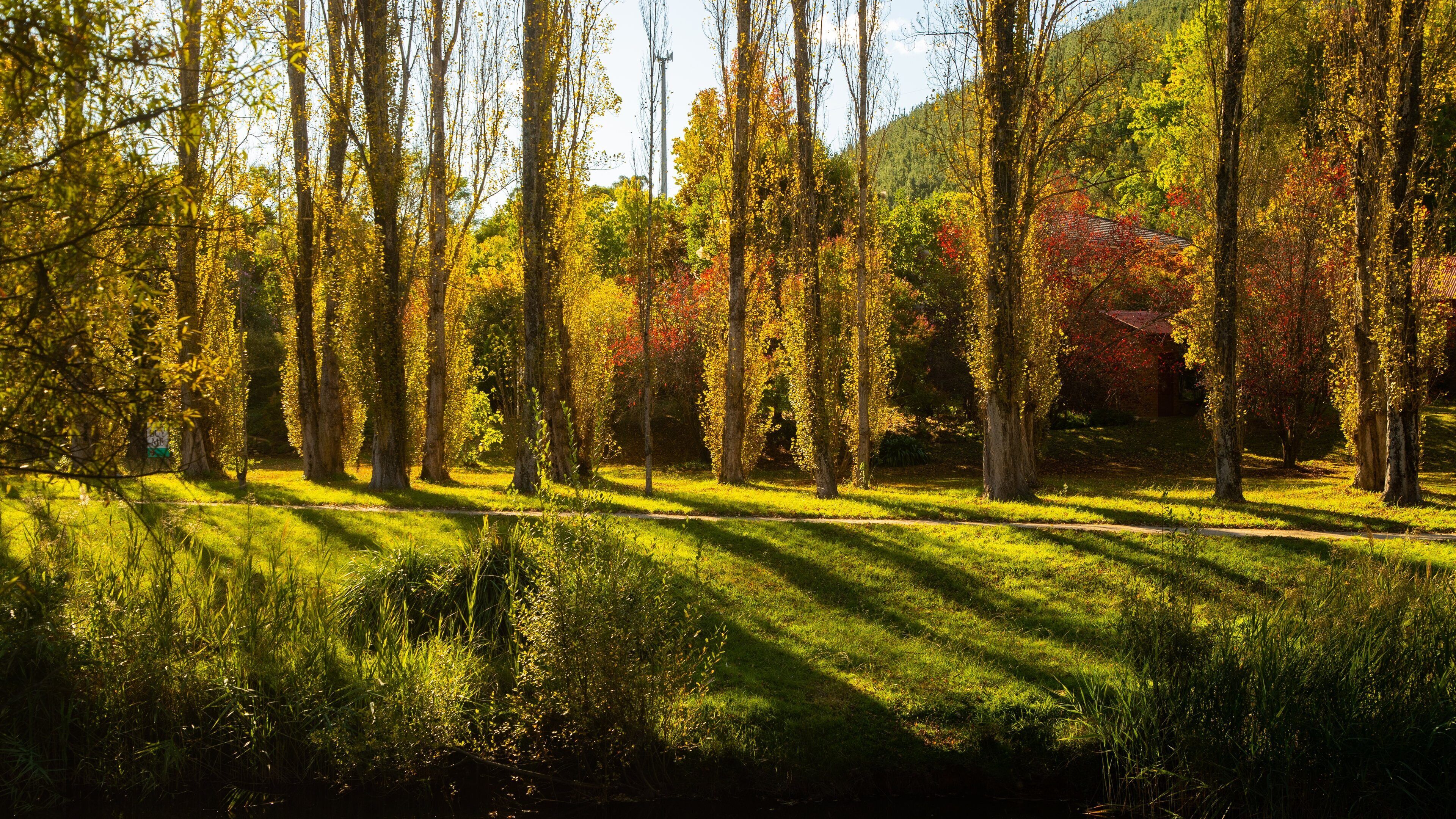 Canyon Walk showing a garden and a sunset