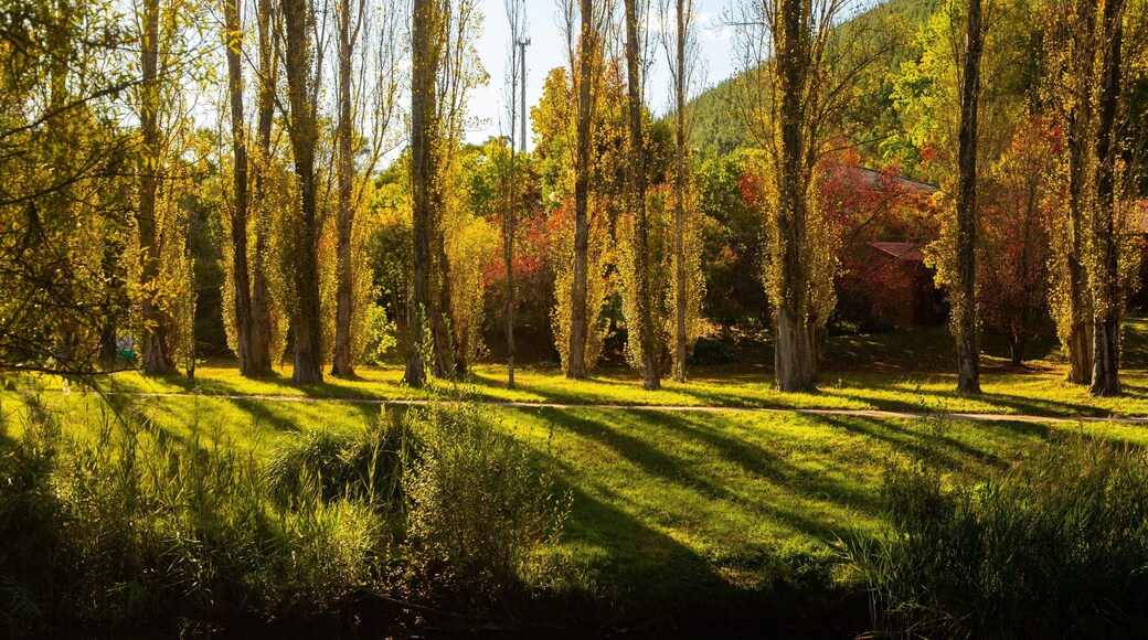 Canyon Walk showing a garden and a sunset