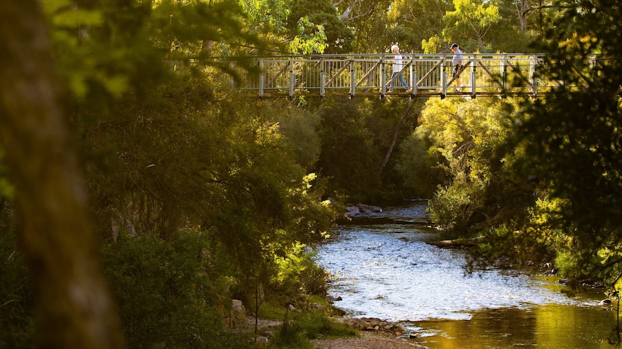 Canyon Walk featuring a river or creek and a bridge