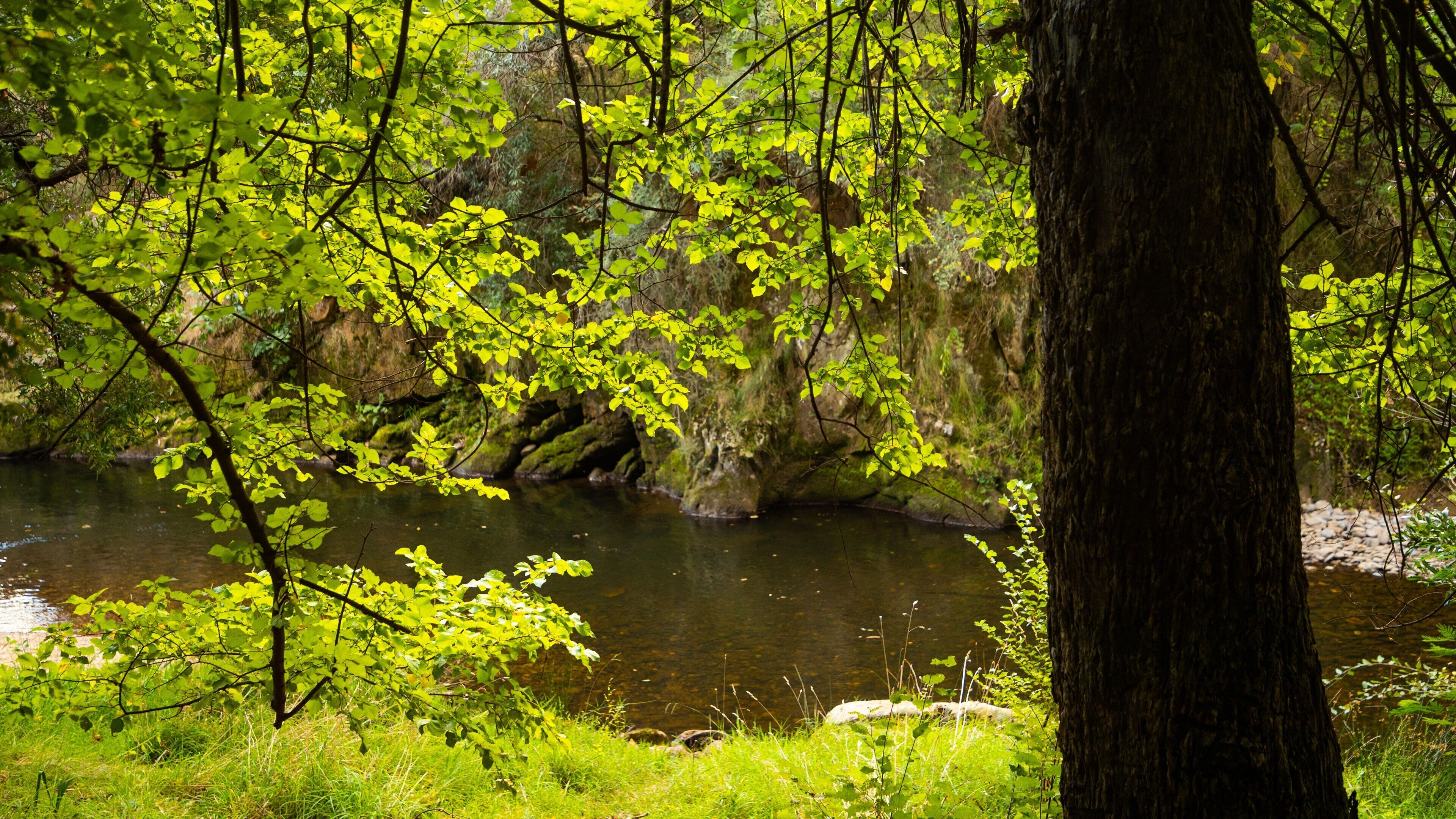 Canyon Walk featuring a pond