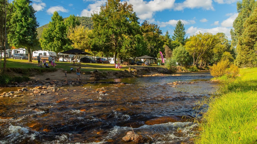 Un río que atraviesa un camping con vehículos recreativos y mesas de picnic.