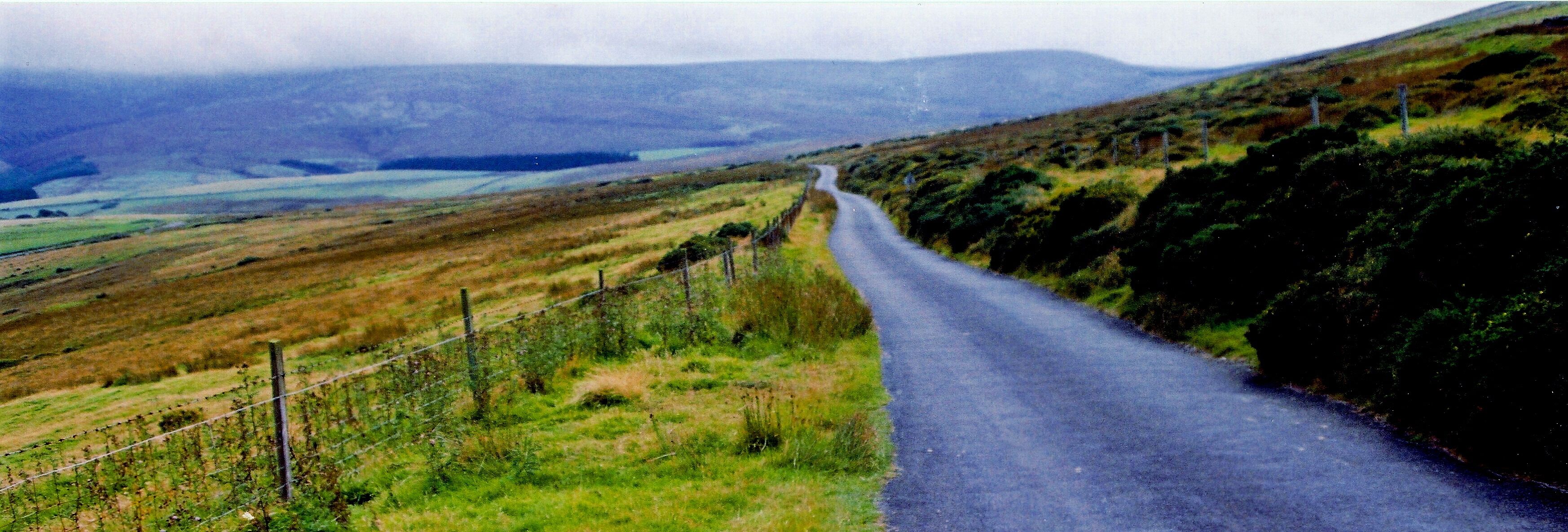 Druidale Road - Grazing land View is to the southwest.