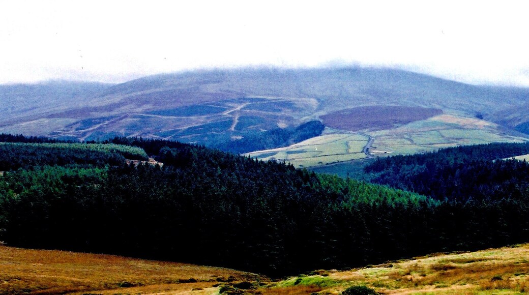 Druidale Road - Grazing land and Sulby Reservoir View is to the southeast.